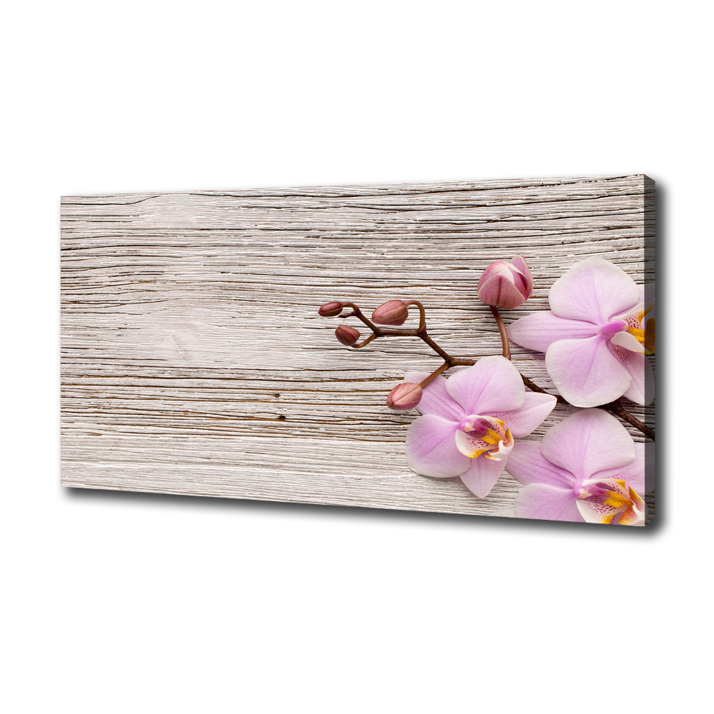 Foto obraz na płótnie Orchidea na drewnie