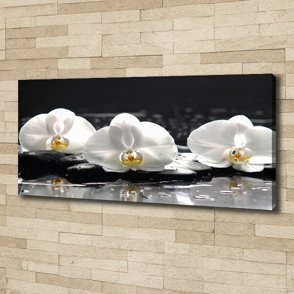 Foto obraz canvas Orchidea