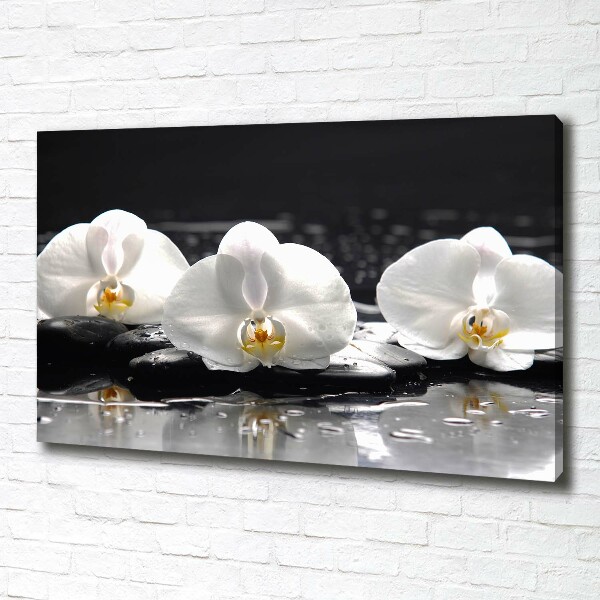 Foto obraz canvas Orchidea