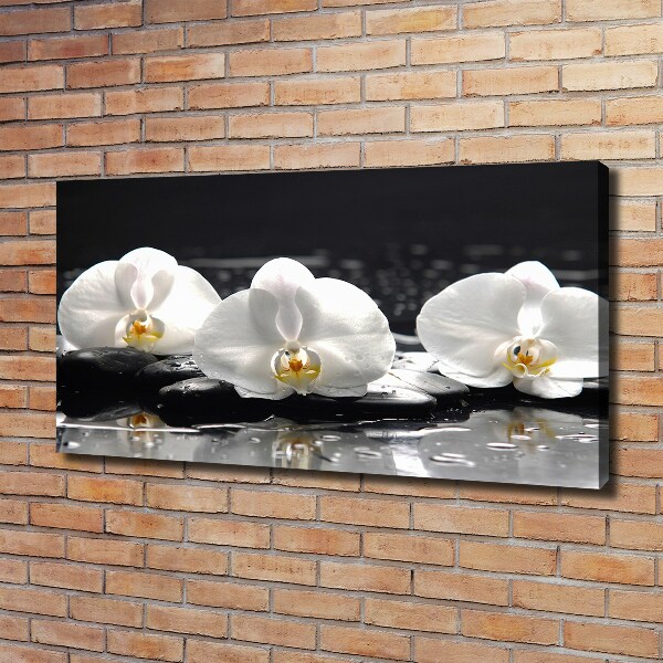 Foto obraz canvas Orchidea