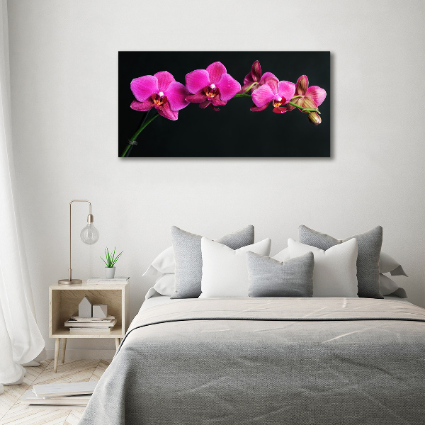 Foto obraz canvas Orchidea