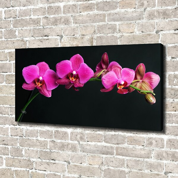 Foto obraz canvas Orchidea