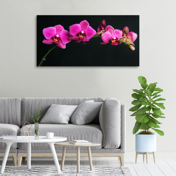 Foto obraz canvas Orchidea