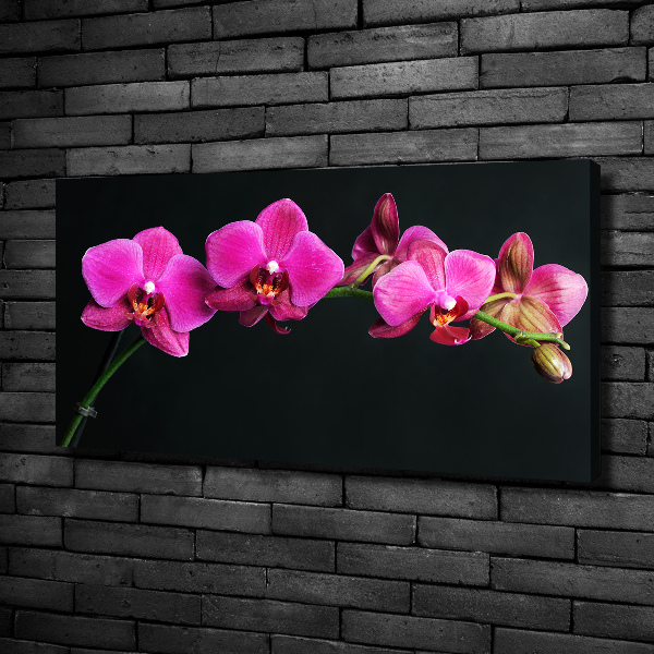 Foto obraz canvas Orchidea