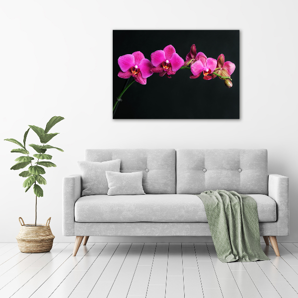 Foto obraz canvas Orchidea