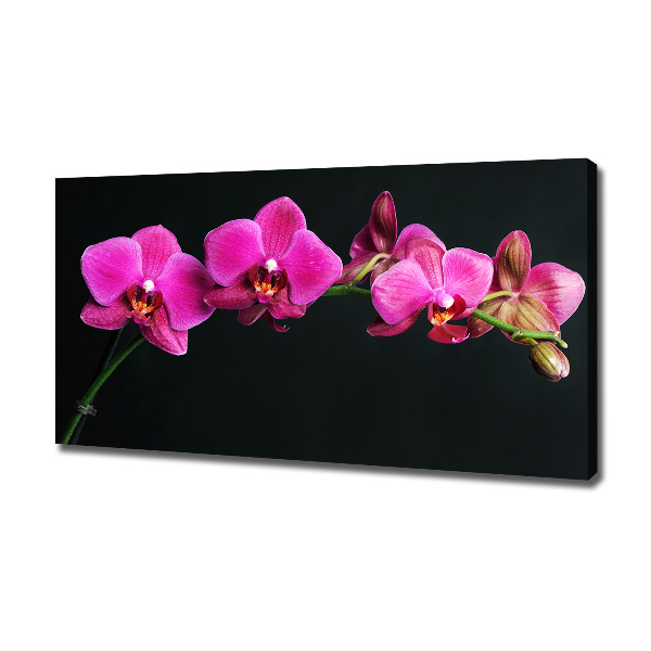 Foto obraz canvas Orchidea