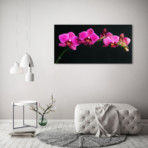 Foto obraz canvas Orchidea