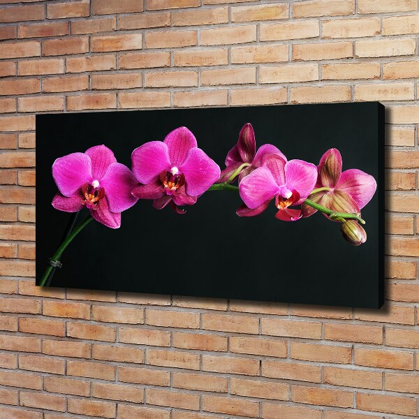 Foto obraz canvas Orchidea