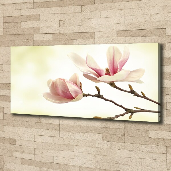 Foto obraz canvas Magnolia