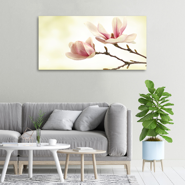 Foto obraz canvas Magnolia