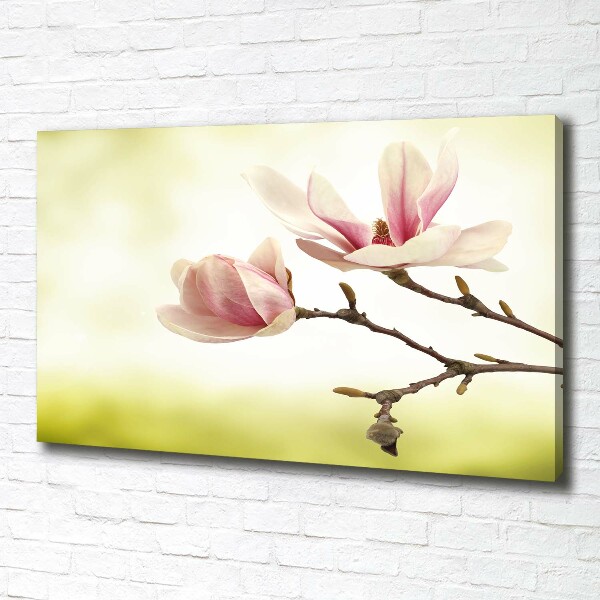 Foto obraz canvas Magnolia