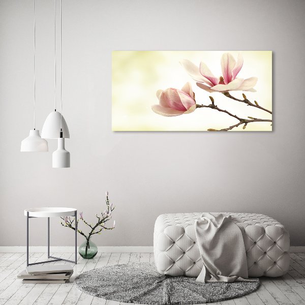 Foto obraz canvas Magnolia