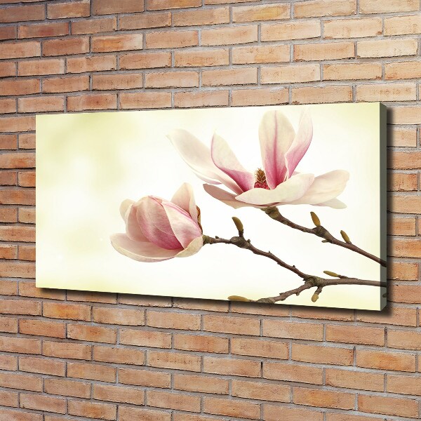 Foto obraz canvas Magnolia