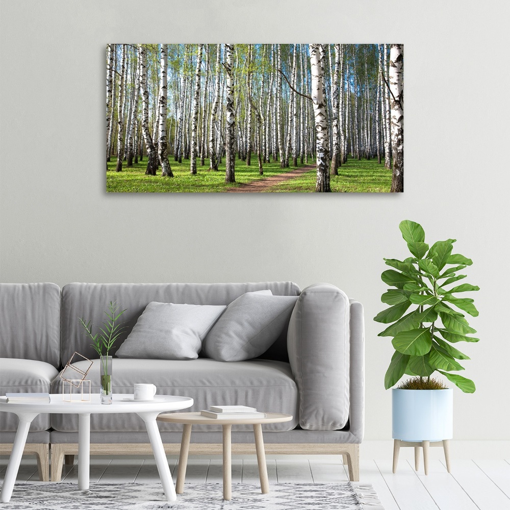 Duży Foto obraz na płótnie Brzozowy las