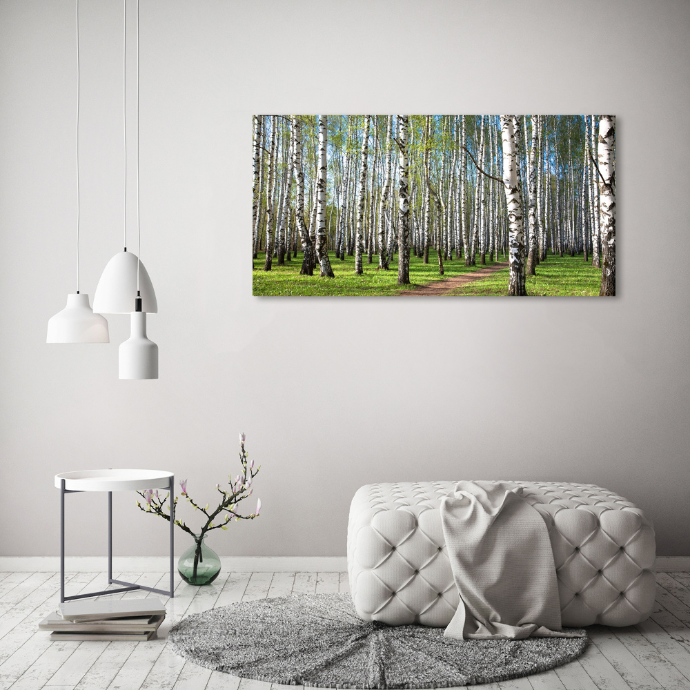 Duży Foto obraz na płótnie Brzozowy las