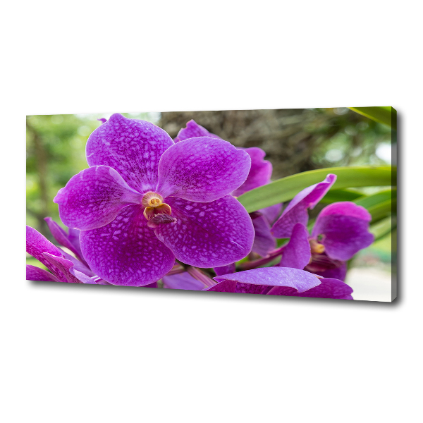 Foto obraz canvas Orchidea