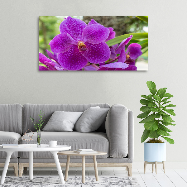 Foto obraz canvas Orchidea