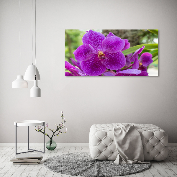 Foto obraz canvas Orchidea