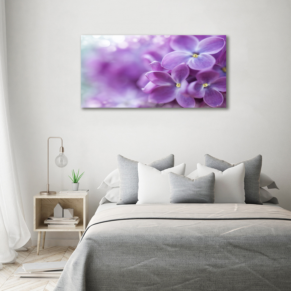 Foto obraz canvas Kwiaty bzu