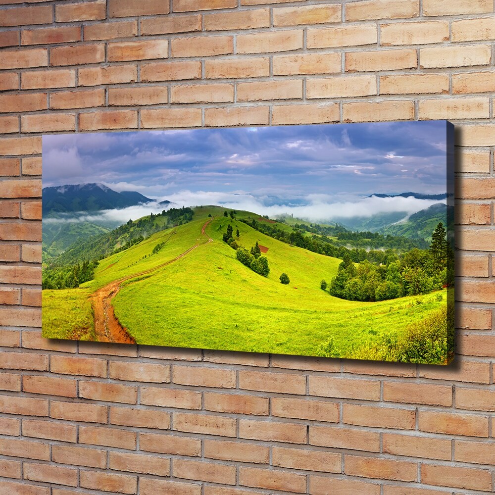 Foto obraz na płótnie Zielone wzgórza