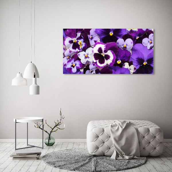 Duży foto obraz na ścianę canvas Bratki