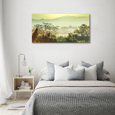 Foto obraz canvas Dżungla