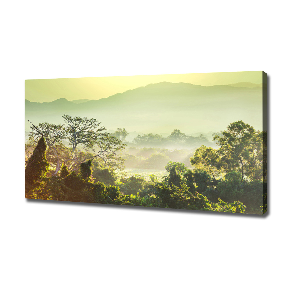 Foto obraz canvas Dżungla