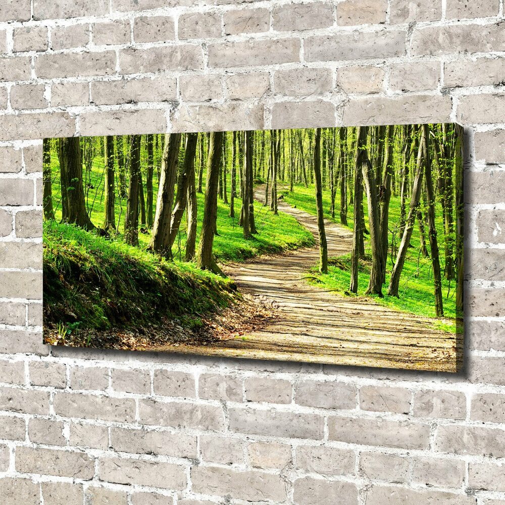 Foto obraz na płótnie Ścieżka w lesie