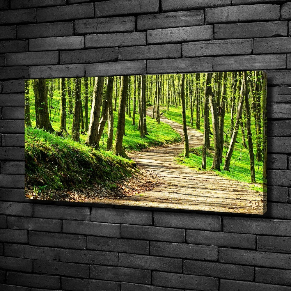 Foto obraz na płótnie Ścieżka w lesie