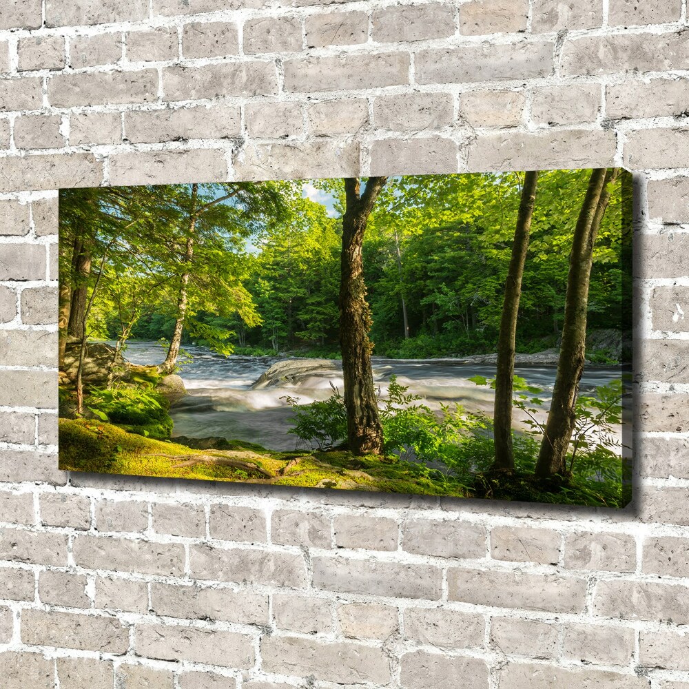Foto obraz na płótnie Rzeka w lesie