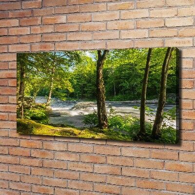 Foto obraz na płótnie Rzeka w lesie
