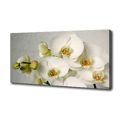 Foto obraz na płótnie Biała orchidea