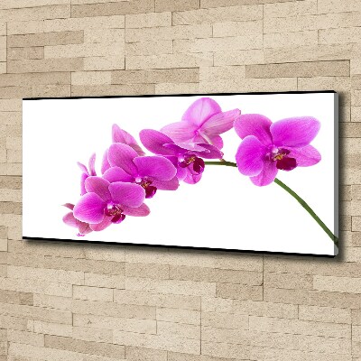 Foto obraz na płótnie Różowa orchidea