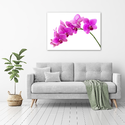 Foto obraz na płótnie Różowa orchidea