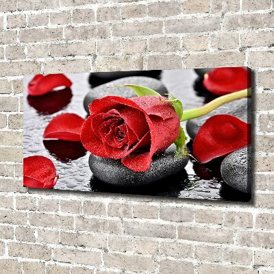 Foto obraz na płótnie Czerwona róża