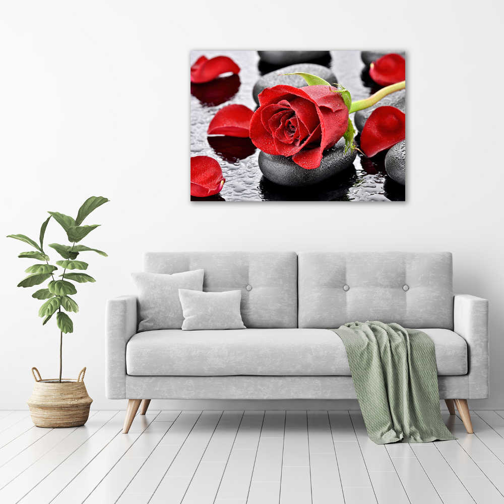 Foto obraz na płótnie Czerwona róża