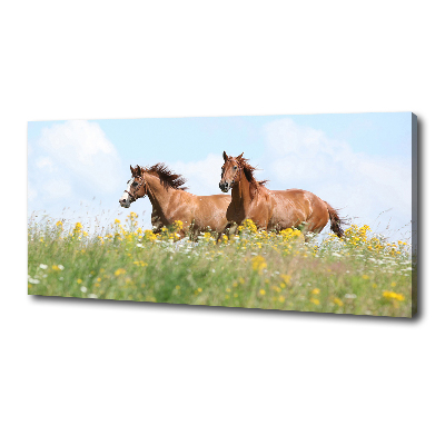 Foto obraz na płótnie Dwa konie w galopie