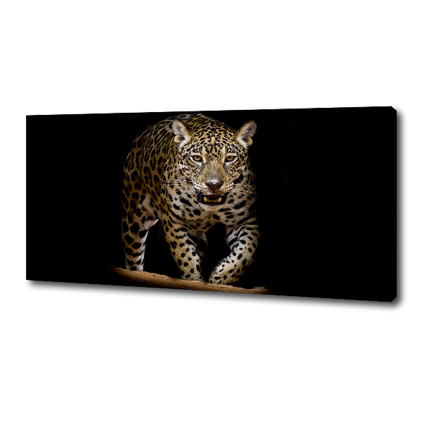 Duży foto obraz na ścianę canvas Jaguar