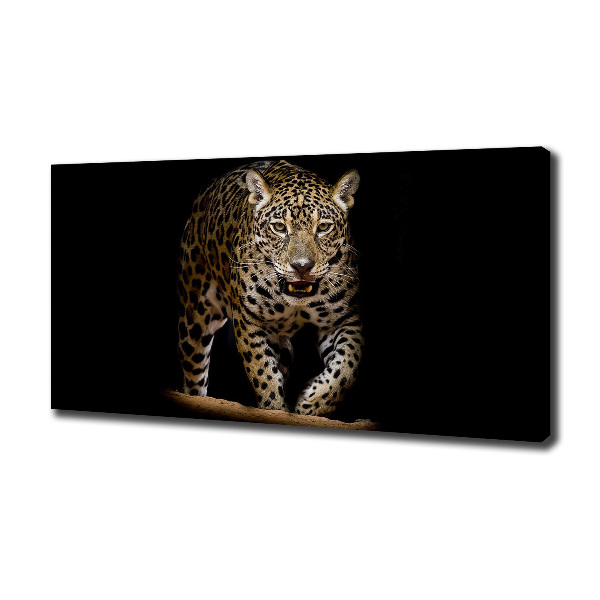 Duży foto obraz na ścianę canvas Jaguar