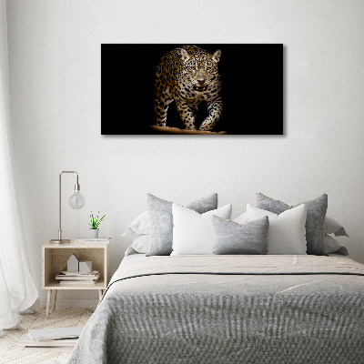 Duży foto obraz na ścianę canvas Jaguar