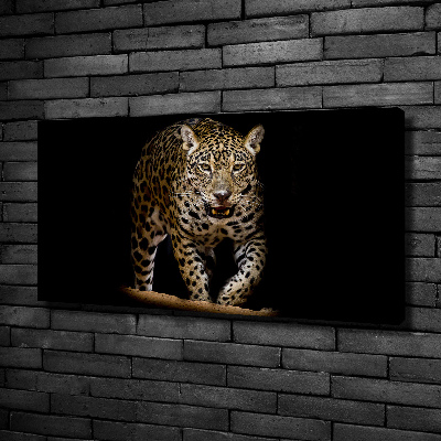 Duży foto obraz na ścianę canvas Jaguar