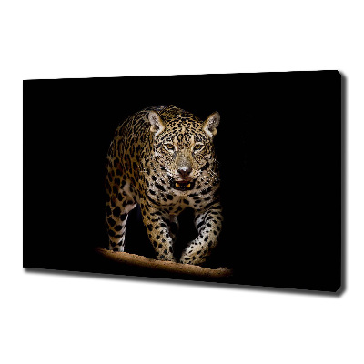 Duży foto obraz na ścianę canvas Jaguar