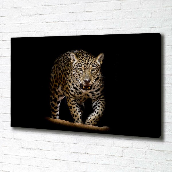 Duży foto obraz na ścianę canvas Jaguar