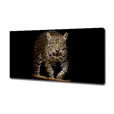 Duży foto obraz na ścianę canvas Jaguar