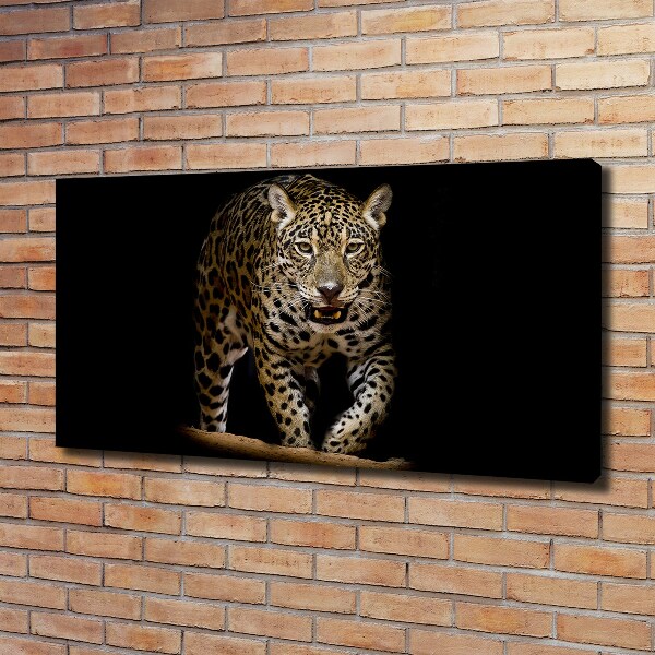 Duży foto obraz na ścianę canvas Jaguar