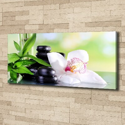 Foto obraz canvas Orchidea