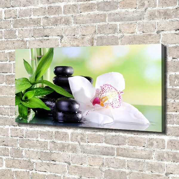 Foto obraz canvas Orchidea