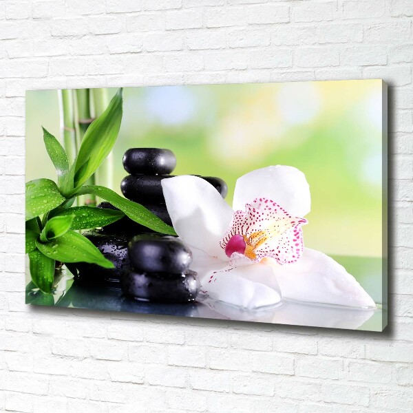 Foto obraz canvas Orchidea