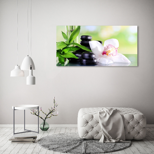 Foto obraz canvas Orchidea