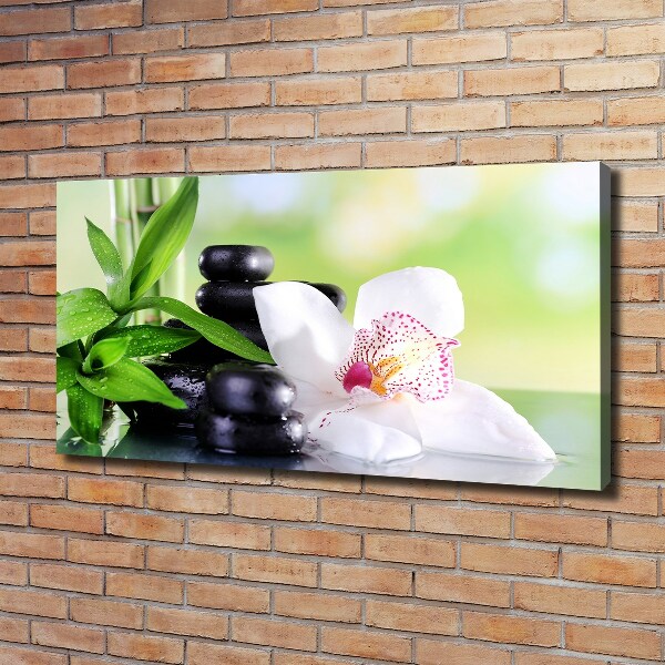 Foto obraz canvas Orchidea